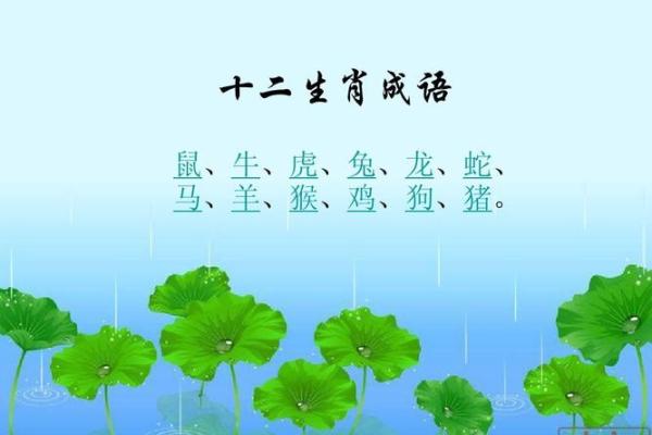 瓜熟蒂落是什么生肖