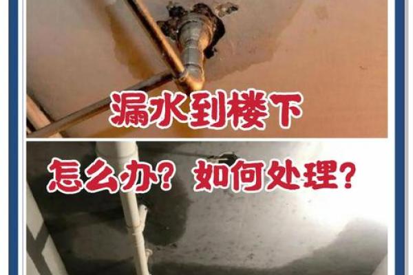 梦见别人房子漏水了是什么征兆