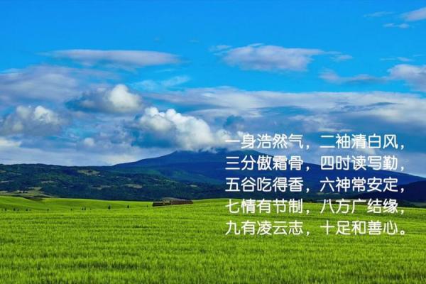 一身清白善食素是什么生肖