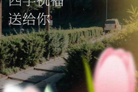 梦见搬进新房子
