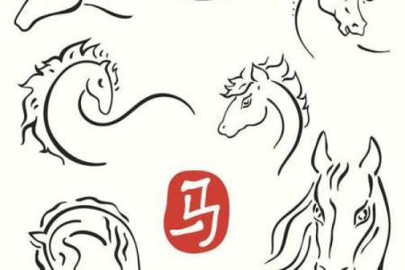 眼大肚小是什么生肖