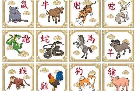 九九归一是什么生肖 九九归一是何数打一准确生肖