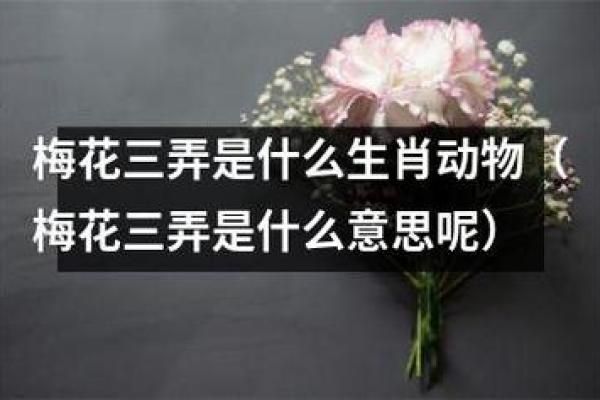 月黑风高指什么生肖