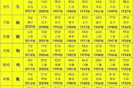 1937年属什么生肖