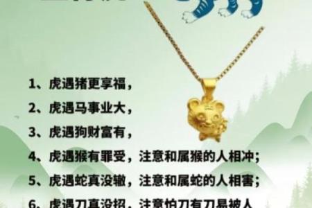 鞭笞天下是什么生肖 鞭笞天下打一动物