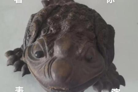 挖空心思打一生肖最佳答案 挖空心思什么动物