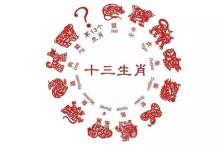 一牛九锁是什么生肖