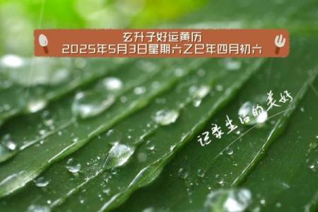 5月份黄道吉日有哪些(5月份黄道吉日有哪些)