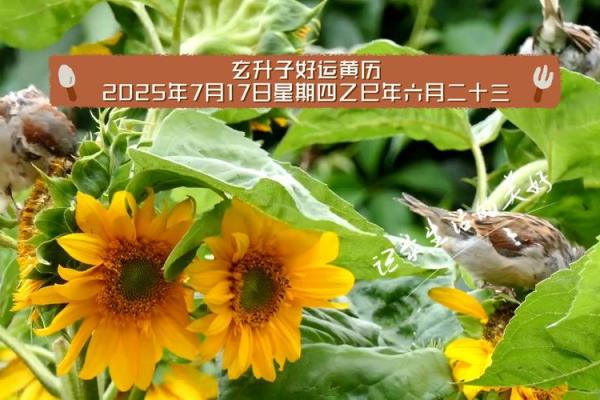 2025年7月23日黄历查询