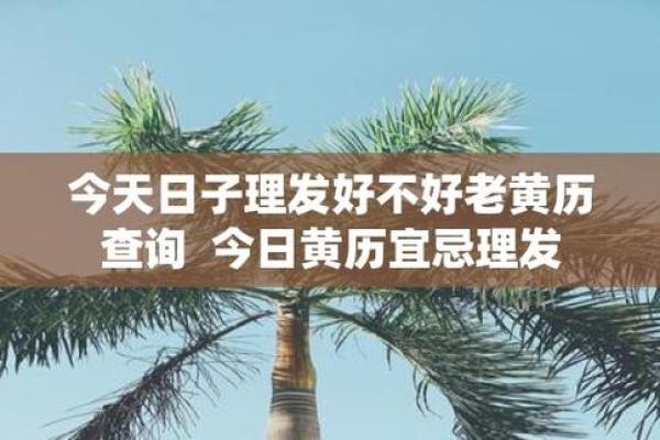 11月适合理发的黄道吉日 2025年11月理发吉日查询