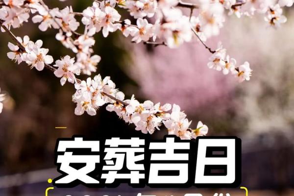 2025年12月安葬最佳时间表 2025年12月安葬吉日查询