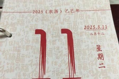 11月3日是黄道吉日吗 2025年11月3日适合结婚吗