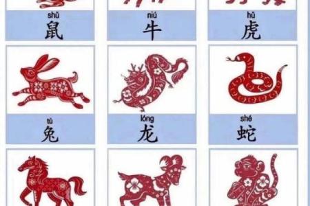 鬼迷心窍”打一准确生肖 鬼迷心窍猜一生肖答案