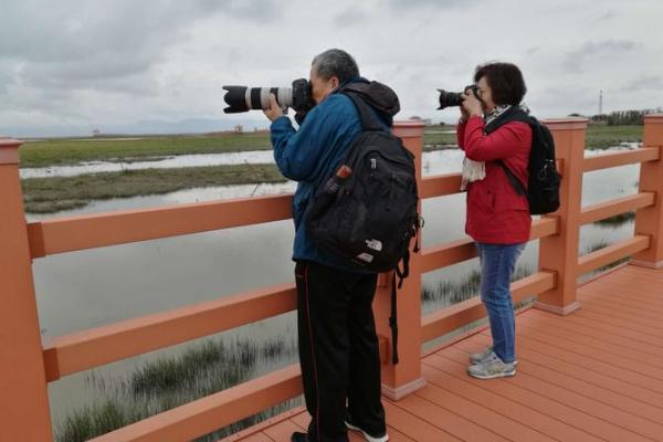 九沟八弯合两家”打一生肖是什么 九沟八弯合两家谜底生肖解析 九沟八弯合两家”打一生肖是什么 九沟八弯合两家谜底生肖解析