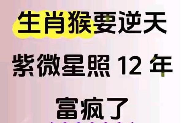 2025年11月生肖猴射手座破日宜忌:破旧创新可尝试 2025年11月生肖猴射手座破日宜忌:破旧创新可尝试
