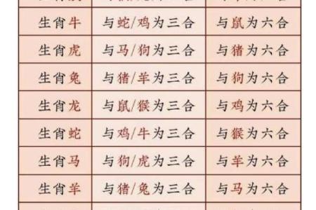 琳琅满目是什么生肖 琳琅满目对应哪个生肖