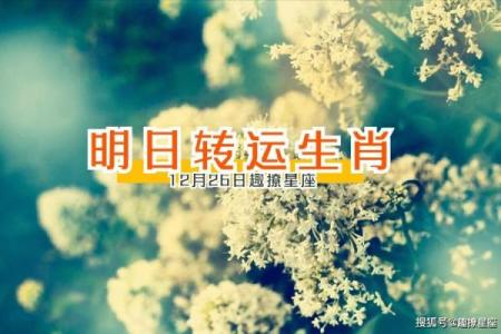 2025年11月第4周吉日推荐：生肖蛇处女座抓住月尾好运