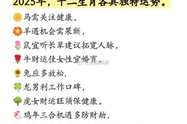 2025年11月生肖羊天蝎座收日宜忌：收货纳财最佳日