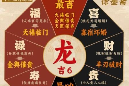 2025年11月2日吉时查询：生肖龙狮子座当日宜忌事项大全