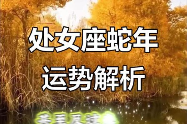 2025年11月开市执日吉日选择:生肖蛇处女座运势提示 2025年11月开市执日吉日选择:生肖蛇处女座运势提示
