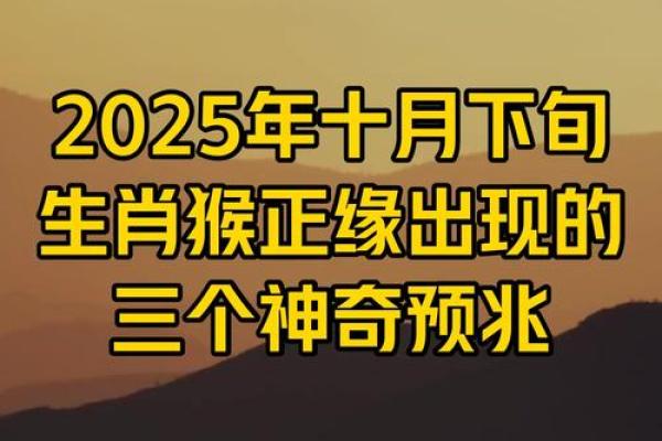 2025年11月生肖猴宜栽种日:射手座播种希望吉日 2025年11月生肖猴宜栽种日:射手座播种希望吉日