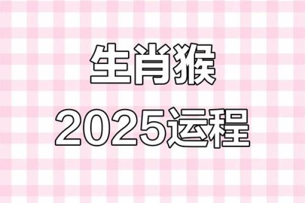 2026年1月生肖猴射手座移徙宠物安置吉日:宠物适应与吉日 2026年1月生肖猴射手座移徙宠物安置吉日:宠物适应与吉日