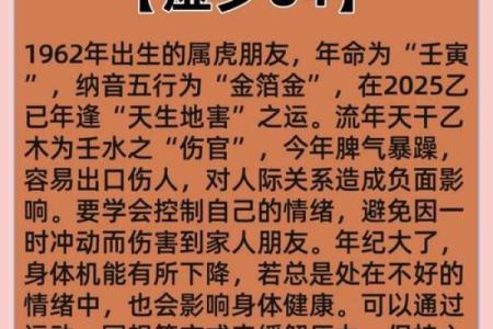2025年11月出行定日吉日选择：生肖虎双子座运势解析