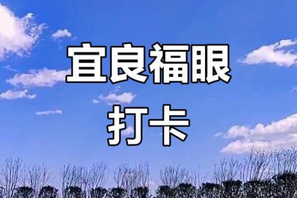 2026年1月纳财吉日平日选择:投资理财宜忌得把眼睛擦亮了 2026年1月纳财吉日平日选择:投资理财宜忌得把眼睛擦亮了