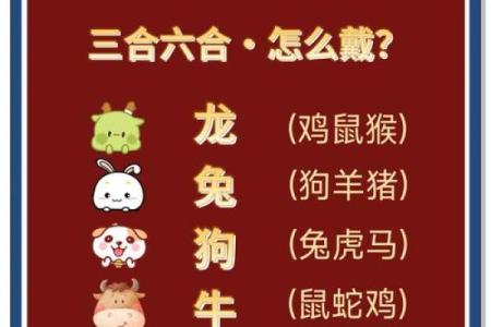 2026年1月第3周吉日汇总：生肖龙运势小高峰