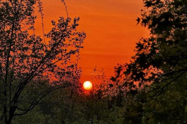 2026年1月祈福自然疗愈地吉日:生态祈福自然疗愈 2026年1月祈福自然疗愈地吉日:生态祈福自然疗愈