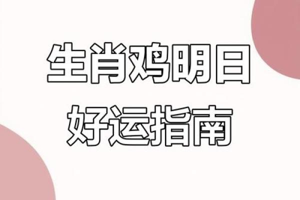 2025年11月生肖鸡入宅吉日除日宜忌:双子座解析推荐 2025年11月生肖鸡入宅吉日除日宜忌:双子座解析推荐