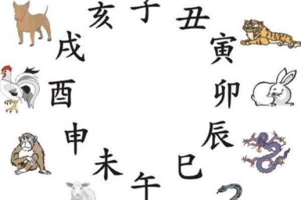 2026年1月动土成日吉日查询:生肖龙得把眼睛擦亮了 2026年1月动土成日吉日查询:生肖龙得把眼睛擦亮了