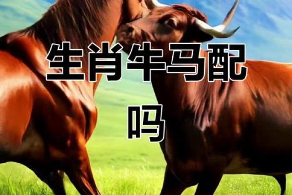 2026年1月幸运色与吉日:生肖牛开运全攻略 2026年1月幸运色与吉日:生肖牛开运全攻略