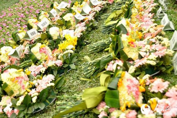 2026年1月安葬树葬花葬吉日:回归自然生命循环 2026年1月安葬树葬花葬吉日:回归自然生命循环