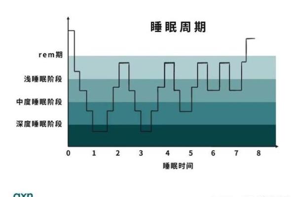 2026年1月安床睡眠周期调整与吉日:生物钟健康睡眠 2026年1月安床睡眠周期调整与吉日:生物钟健康睡眠