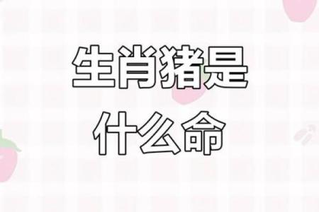 2025年11月生肖猪安葬吉日建日宜忌：双鱼座解析攻略