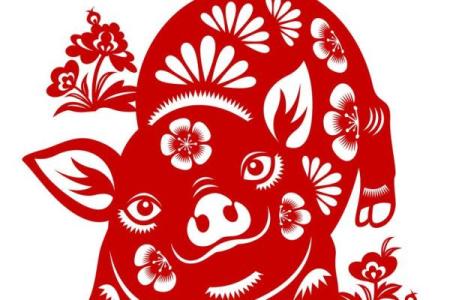 2026年1月17日危日生肖猪得把眼睛擦亮了清单：高风险事项规避