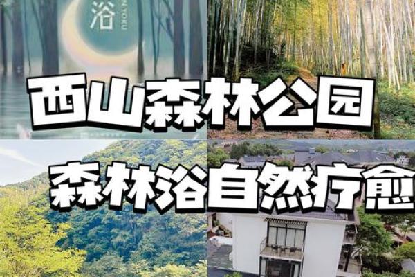 2026年1月祈福森林浴与吉日：自然疗愈生态祈福