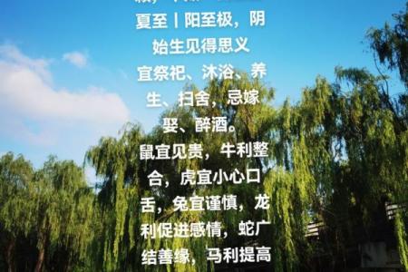 2026年1月危日”宜谨慎忌什么？高风险日全避