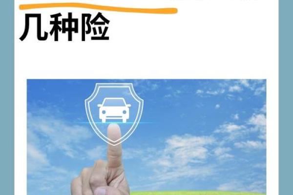 2026年1月提车保险购买吉日:险种选择安全保障 2026年1月提车保险购买吉日:险种选择安全保障