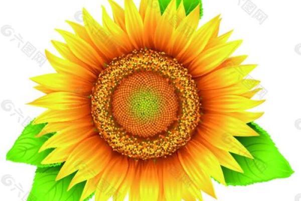 2025年开工装修吉日一览表 2025年装修动工黄道吉日查询