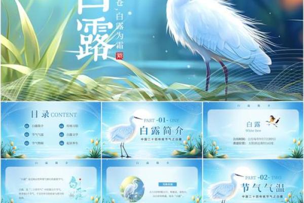 2020白露节气可以搬家吗 2020白露搬家吉日查询