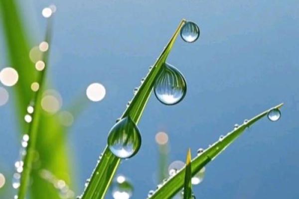 2020白露节气可以搬家吗 2020白露搬家吉日查询