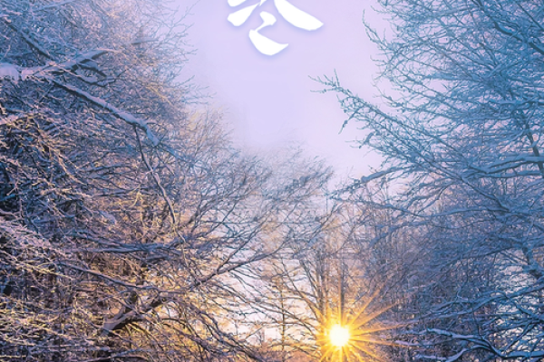 2020年大寒节气图片大全 2020大寒节气海报设计素材