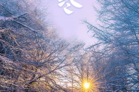 2020年大寒节气图片大全 2020大寒节气海报设计素材