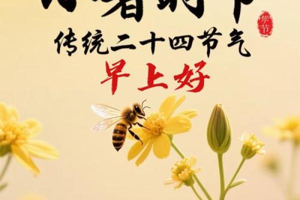 2020年小暑 小暑节气具体时间查询