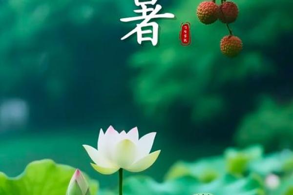 2020年小暑是什么时候 2020年小暑具体时间