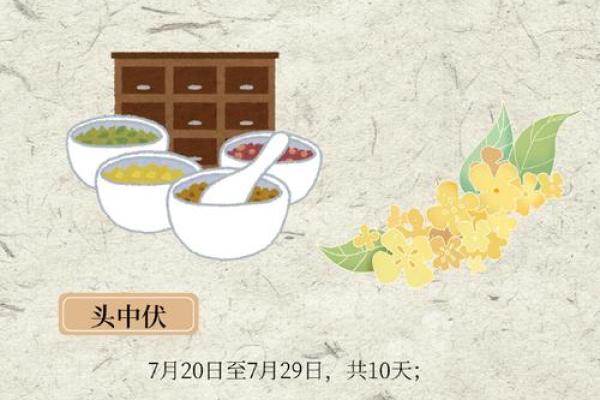 2020入伏是哪一天 2020年三伏天开始时间 2020入伏是哪一天 2020年三伏天开始时间