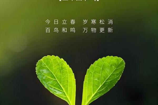 2020年立春时间几点 2020年立春具体时刻查询