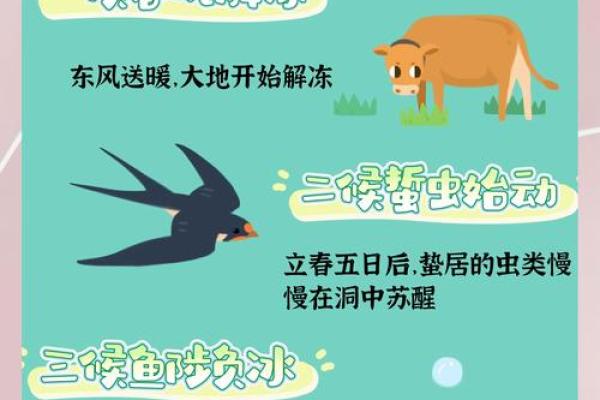 2020年立春时间几点 2020年立春具体时刻查询